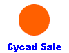  Cycad Sale 